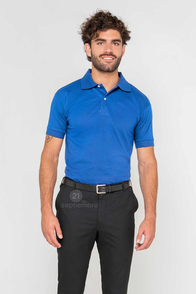 art 47501 color 485